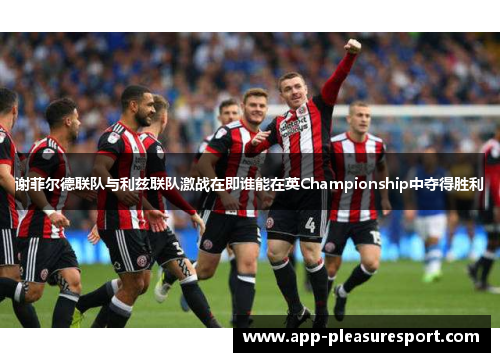 谢菲尔德联队与利兹联队激战在即谁能在英Championship中夺得胜利